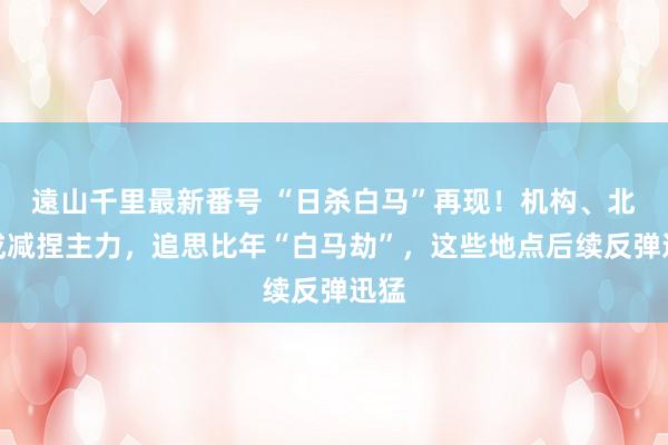 遠山千里最新番号 “日杀白马”再现！机构、北向成减捏主力，追思比年“白马劫”，这些地点后续反弹迅猛