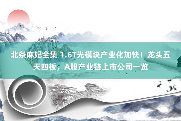 北条麻妃全集 1.6T光模块产业化加快！龙头五天四板，A股产业链上市公司一览