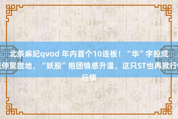 北条麻妃qvod 年内首个10连板！“华”字股成涨停聚拢地，“妖股”抱团情感升温，这只ST也再掀行情