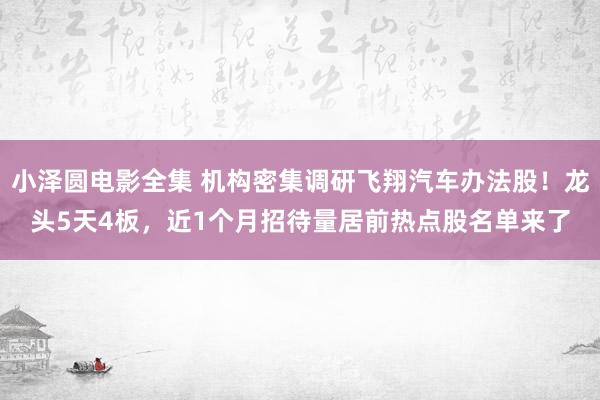 小泽圆电影全集 机构密集调研飞翔汽车办法股！龙头5天4板，近1个月招待量居前热点股名单来了