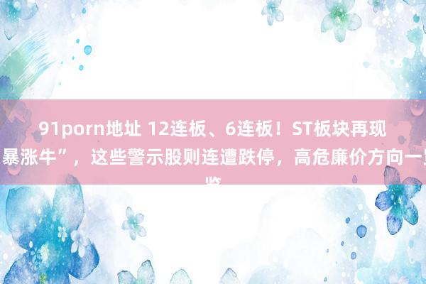 91porn地址 12连板、6连板！ST板块再现“暴涨牛”，这些警示股则连遭跌停，高危廉价方向一览