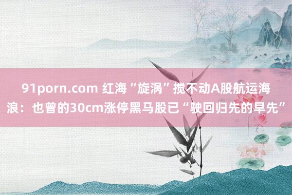 91porn.com 红海“旋涡”搅不动A股航运海浪：也曾的30cm涨停黑马股已“驶回归先的早先”