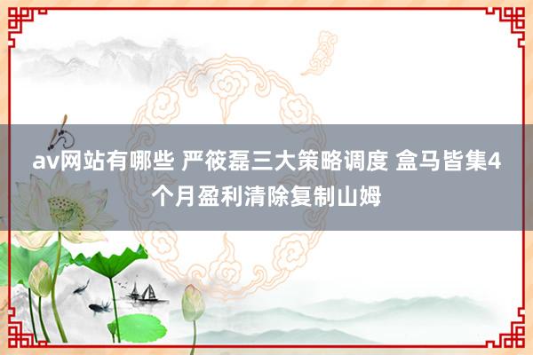 av网站有哪些 严筱磊三大策略调度 盒马皆集4个月盈利清除复制山姆