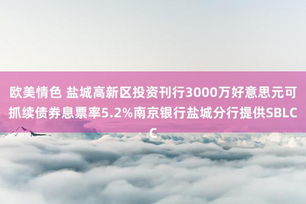 欧美情色 盐城高新区投资刊行3000万好意思元可抓续债券息票率5.2%南京银行盐城分行提供SBLC