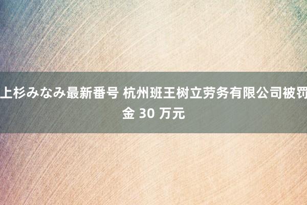 上杉みなみ最新番号 杭州班王树立劳务有限公司被罚金 30 万元