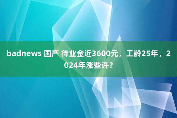 badnews 国产 待业金近3600元，工龄25年，2024年涨些许？