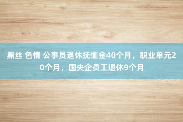 黑丝 色情 公事员退休抚恤金40个月，职业单元20个月，国央企员工退休9个月