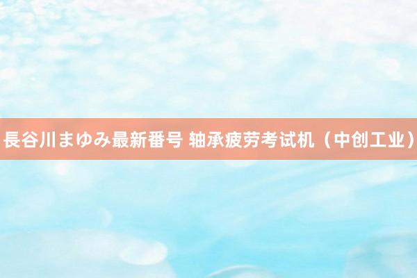 長谷川まゆみ最新番号 轴承疲劳考试机（中创工业）