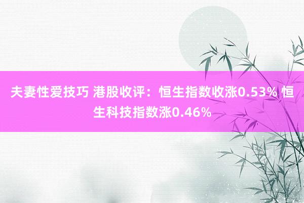 夫妻性爱技巧 港股收评：恒生指数收涨0.53% 恒生科技指数涨0.46%