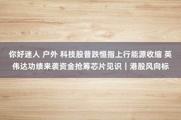 你好迷人 户外 科技股普跌恒指上行能源收缩 英伟达功绩来袭资金抢筹芯片见识｜港股风向标