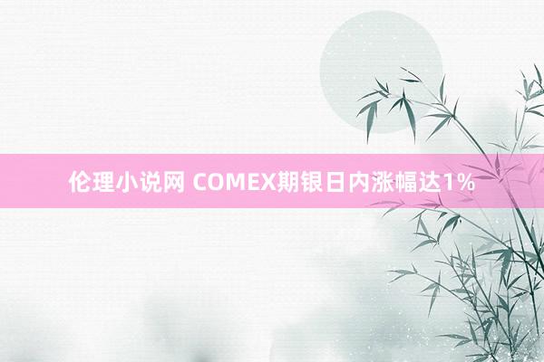 伦理小说网 COMEX期银日内涨幅达1%